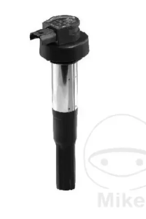 BOBINA ACCENSIONE BMW F 700 GS BERU ZS386 Spedito Oggi